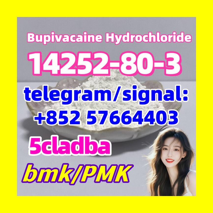 14252-80-3 Bupivacaine Hydrochloride