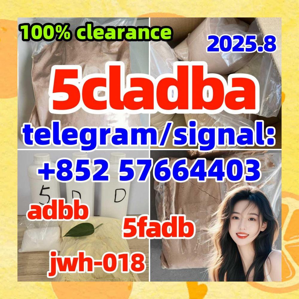 5cladb 5CL-ADB-a High quality Powder 5cladba Raw material Adbb 5cladb 5CL-ADB-a High quality Powder 5cladba Raw material Adbb
