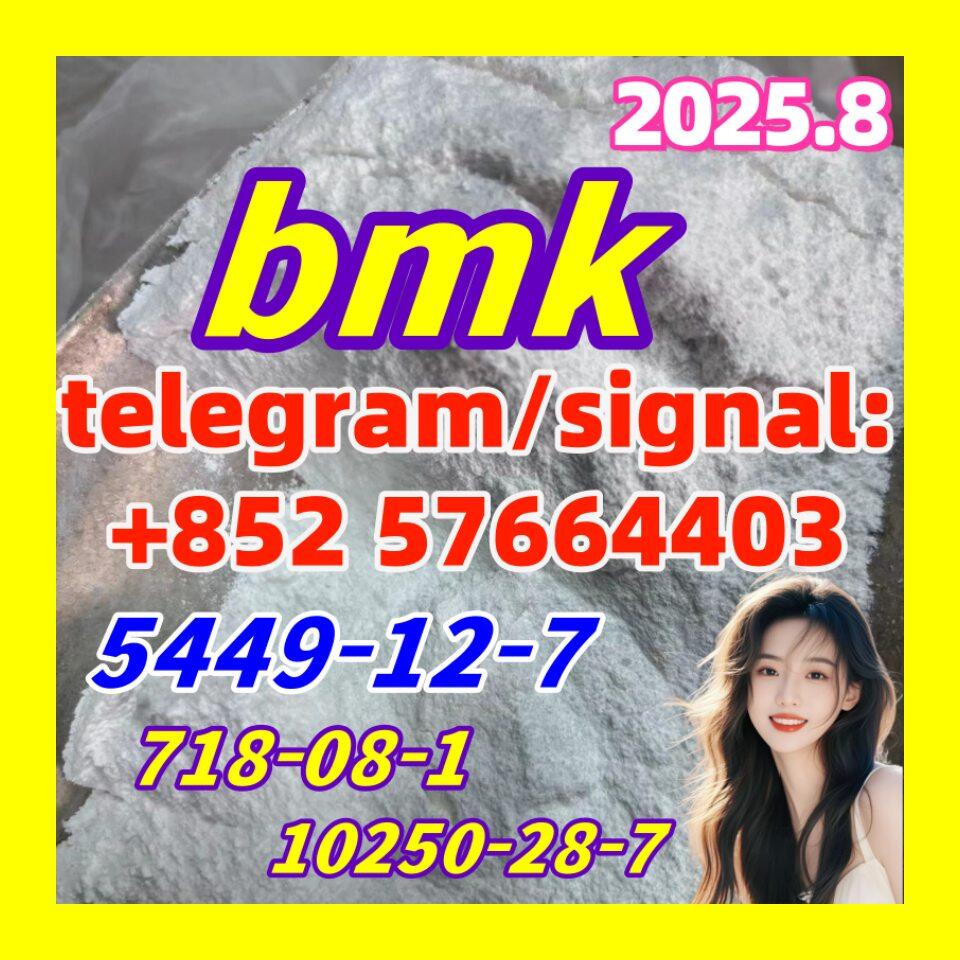 New BMK 5449-12-7 Powder glycidyl acid 718-08-1 10250-28-7 New BMK 5449-12-7 Powder glycidyl acid 718-08-1 10250-28-7