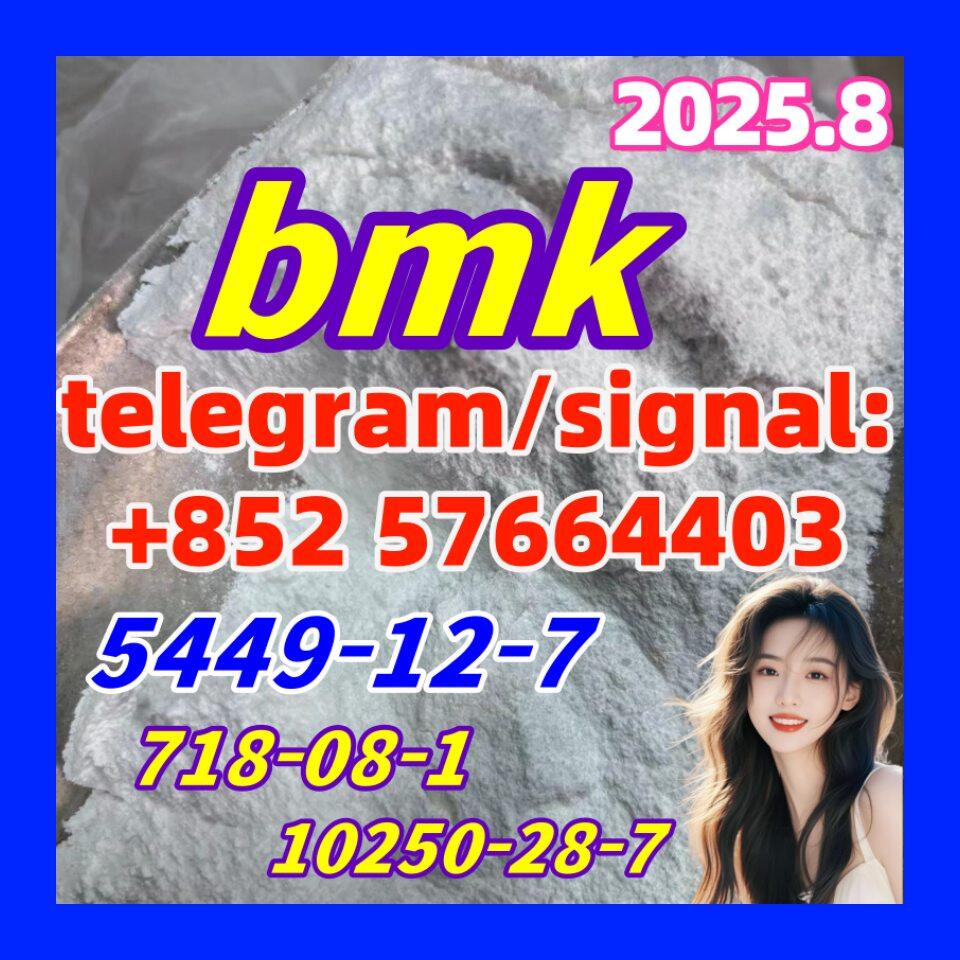 BMK Glycidic Acid (sodium salt) White Powder 99% CAS 5449 -12-7 BMK Glycidic Acid (sodium salt) White Powder 99% CAS 5449 -12-7