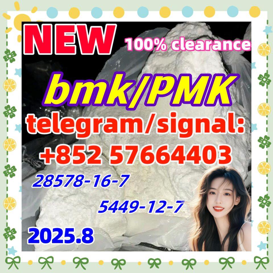 CAS 5449-12-7 BMK Glycidic Acid (sodium salt) With Best Price New PMK 28578-16-7 Ethyl Glycidate CAS 5449-12-7 BMK Glycidic Acid (sodium salt) With Best Price New PMK 28578-16-7 Ethyl Glycidate