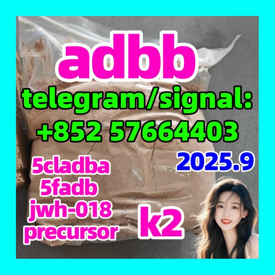 USD 5, 5cladba 5fadb Mdma Adbb5CL Materials Cas 2709672-58-0 USD 5, 5cladba 5fadb Mdma Adbb5CL Materials Cas 2709672-58-0