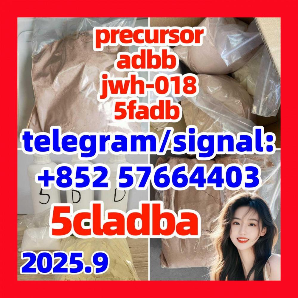 5cladba,5CLADBA,5cl,5ck-adb-a, Powder,high Quality,99% for Sale 5cladba,5CLADBA,5cl,5ck-adb-a, Powder,high Quality,99% for Sale