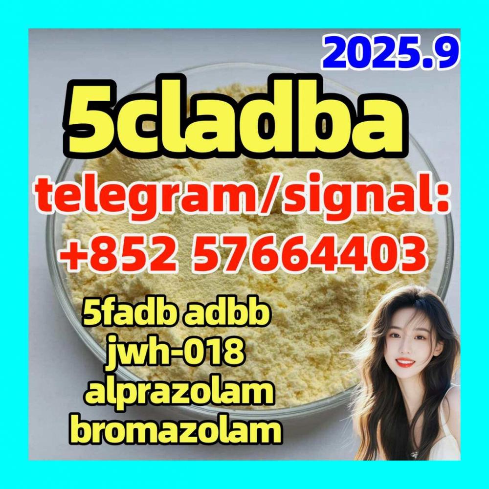 5cladba raw material 5CL-ADB-A precursor raw 5cladba 5f adb 5cladba raw material 5CL-ADB-A precursor raw 5cladba 5f adb