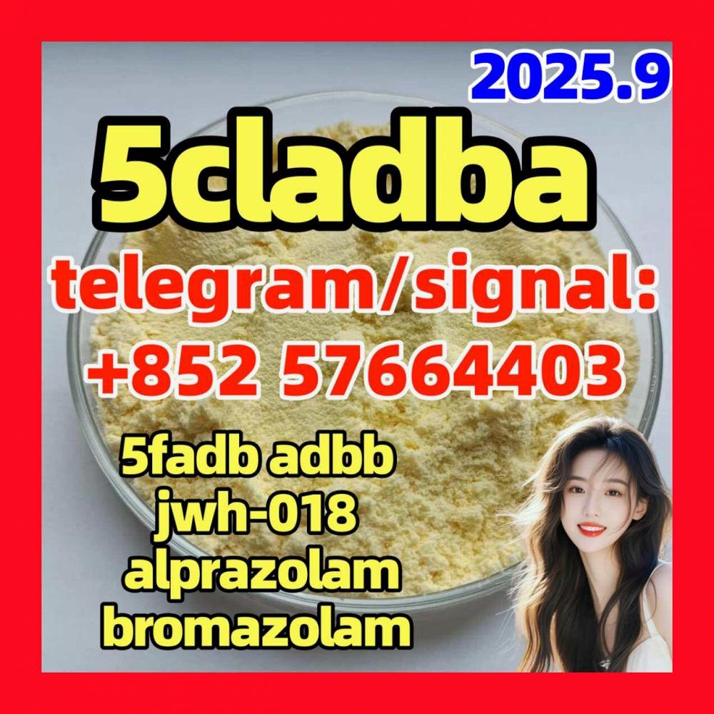 5cladb precursor 5cl raw materials 5cladba 5cladb with high quality