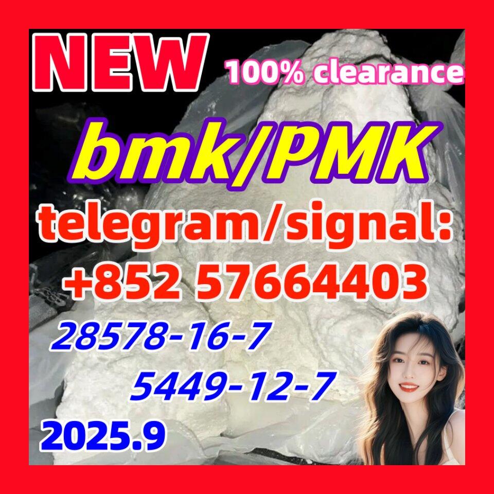 PMK 28578-16-7 BMK 5449-12-7 99% PMK 28578-16-7 BMK 5449-12-7 99%