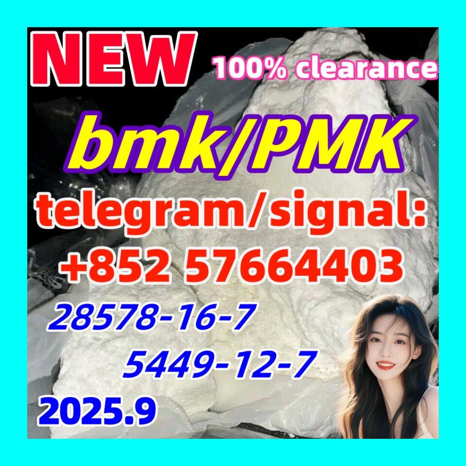 New BMK 5449-12-7 glycerin acid New PMK 28578-16-7 Ethyl Glycidate 1451-82-7 51-05-8
