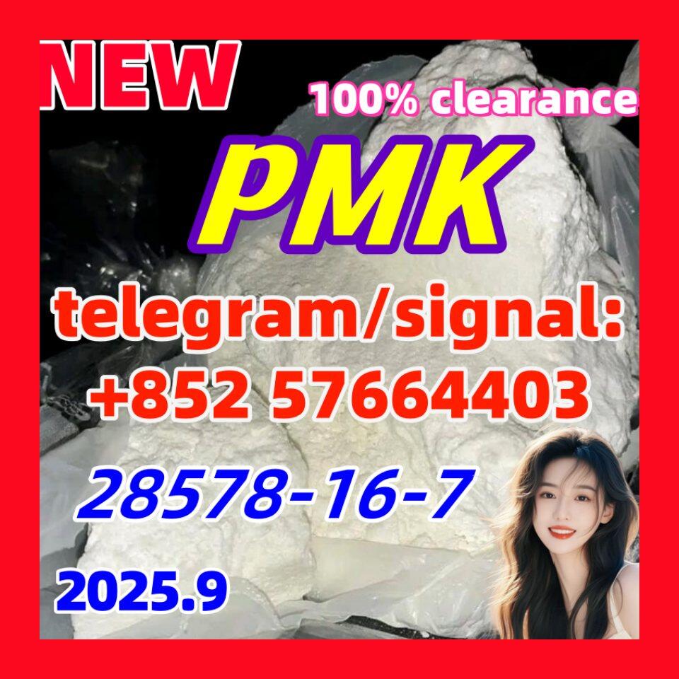 New PMK 28578-16-7 Ethyl Glycidate 1451-82-7 51-05-8 New PMK 28578-16-7 Ethyl Glycidate 1451-82-7 51-05-8