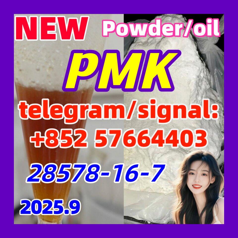 28578-16-7 New PMK Powder oil Ethyl Glycidate 1451-82-7 51-05-8