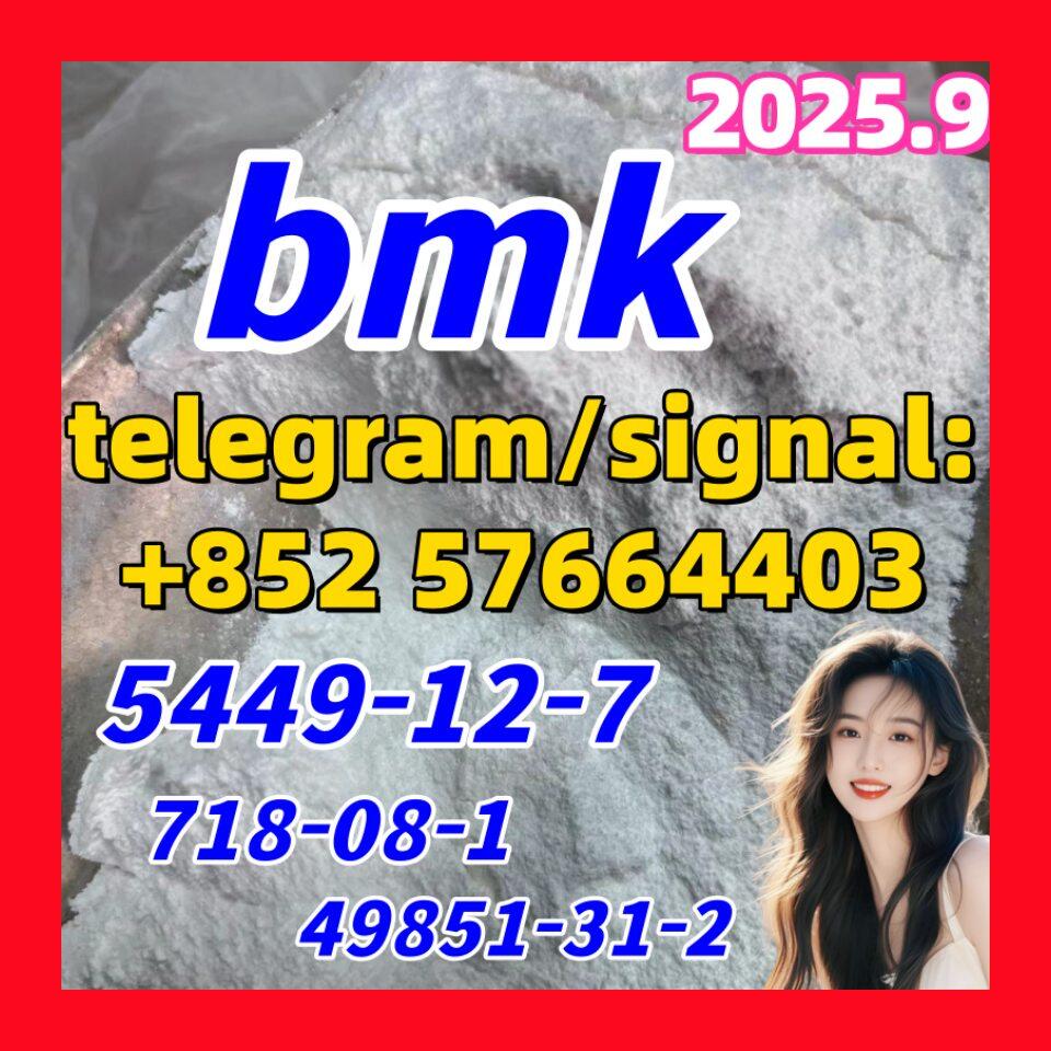 BMK 5449-12-7 New BMK Powder glycerin acid 718-08-1 49851-31-2 10250-28-7 103-79-7