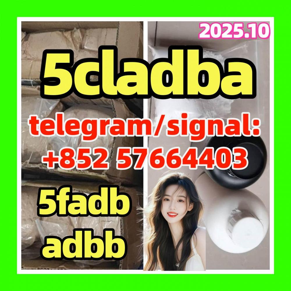 5cladba adbb raw material 5CL-ADB-A precursor raw 5cladba 5f adb 4fadb 5cladba adbb raw material 5CL-ADB-A precursor raw 5cladba 5f adb 4fadb