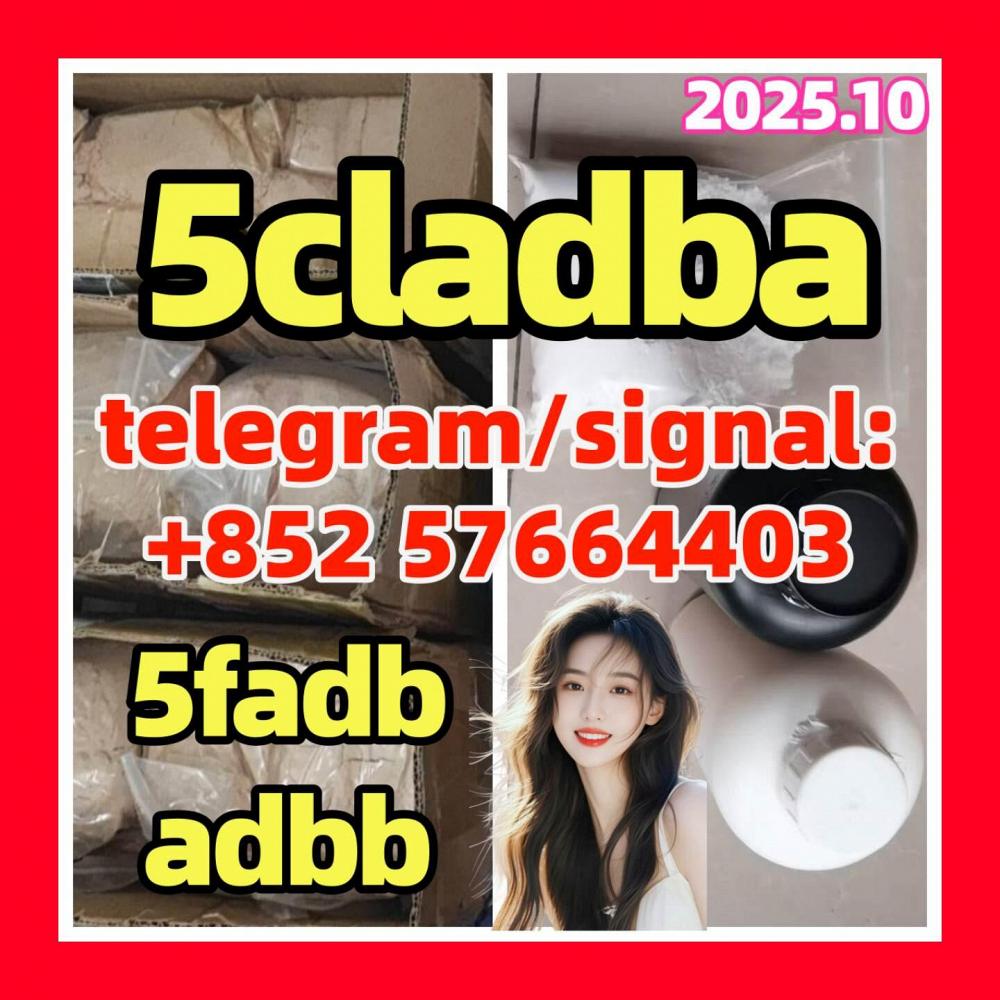 5Cladba 99% Medical Intermediate 5CLADBA - Hebe 5Cladba 99% Medical Intermediate 5CLADBA - Hebe