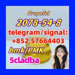 2078-54-8 Propofol
