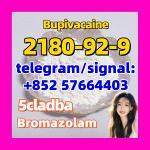 2180-92-9 Bupivacaine