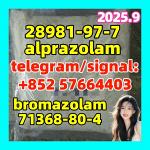 28981-97-7 alprazolam 71368-80-4 bromazolam Etizolam 40054-69-1 Yellow And White Powder New formul - Раздел: Бытовая электроника, фототехника