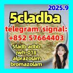 5cladba raw material 5CL-ADB-A precursor raw 5cladba 5f adb - Раздел: Космическая промышленность