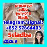 5cladba Original Product Name 5clAdba Synonyms 5clAdba CAS NO. 137350-66-4 Purity