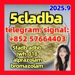 5cladb precursor 5cl raw materials 5cladba 5cladb with high quality