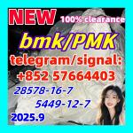 New BMK 5449-12-7 glycerin acid New PMK 28578-16-7 Ethyl Glycidate 1451-82-7 51-05-8