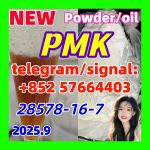 PMK 28578-16-7 New PMK Powder oil Ethyl Glycidate 1451-82-7 51-05-8 - Раздел: Космическая промышленность