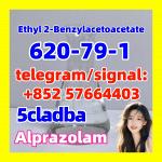 620-79-1 Ethyl 2-Benzylacetoacetate - Раздел: Товары для хобби и отдыха, книги