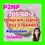 705-60-2 P2NP 1-phenyl-2-nitropropene