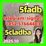 I sell | Strong 5cladba raw materials 5CL-ADB precursor powder supplier - Раздел: Товары для хобби и отдыха, книги