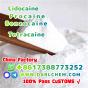 Lidocaine Benzocaine Procaine raw Powder 137-58-6 Good Price