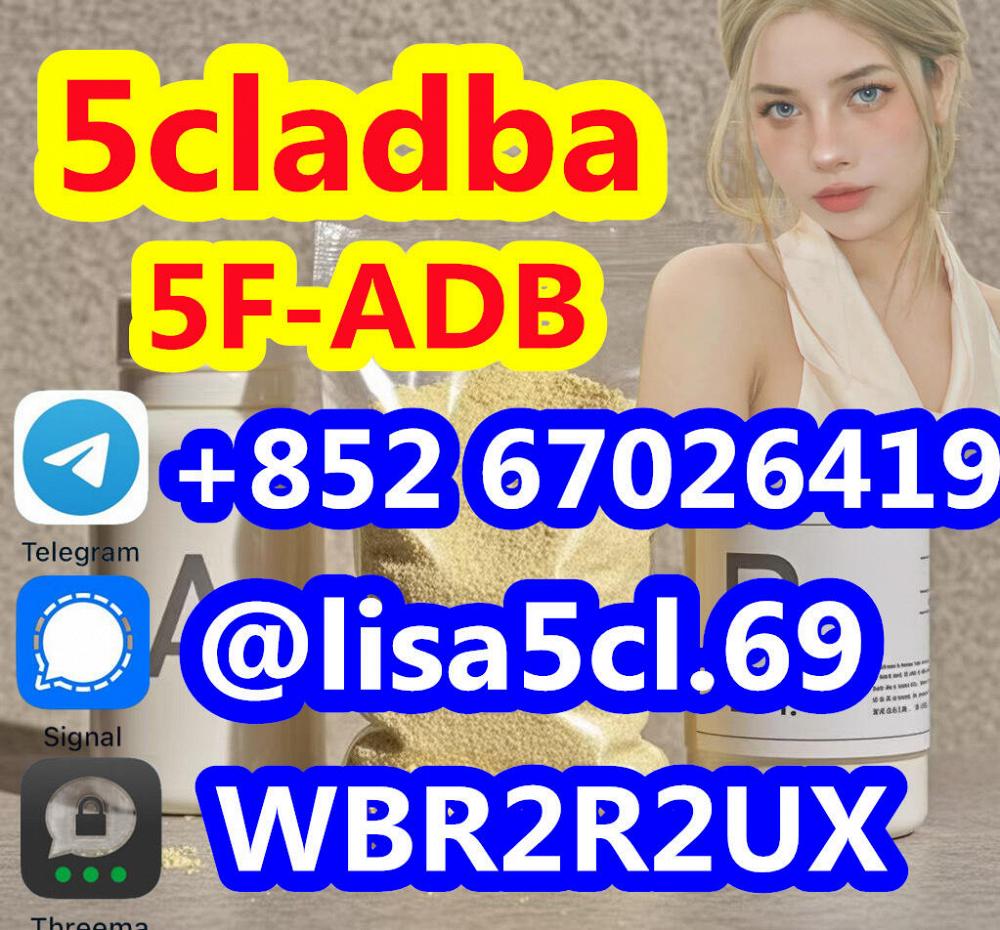 5cladba raw material 5CL-ADB-A precursor raw 5cladba 5f adb 5cladba raw material 5CL-ADB-A precursor raw 5cladba 5f adb
