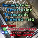 Semaglutide 5-AMINO-1MQ Retatrutide 910463-68-2 China Factory
