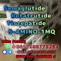 Semaglutide 5-AMINO-1MQ Retatrutide 910463-68-2 China Factory