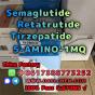Semaglutide 5-AMINO-1MQ Retatrutide 910463-68-2 China Factory