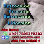 Lidocaine Benzocaine Procaine raw Powder 137-58-6 High Quality