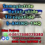 Semaglutide 5-AMINO-1MQ Retatrutide 910463-68-2 Raw Powder