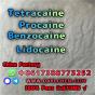 Lidocaine Benzocaine Procaine raw Powder 137-58-6 High Quality