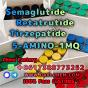 Semaglutide 5-AMINO-1MQ Retatrutide 910463-68-2 Raw Powder