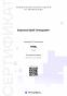 SEORA.agency