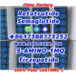 Semaglutide 5-AMINO-1MQ Retatrutide 910463-68-2 Manufactory Supply