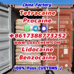 Lidocaine Benzocaine Procaine raw Powder 137-58-6 Good Price