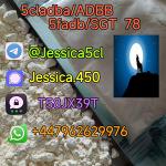 jessica - Раздел: Медицинские товары, фармацевтическая продукция