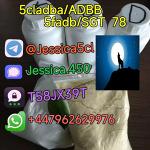 jessica