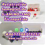 Semaglutide 5-AMINO-1MQ Retatrutide 910463-68-2 Raw Powder