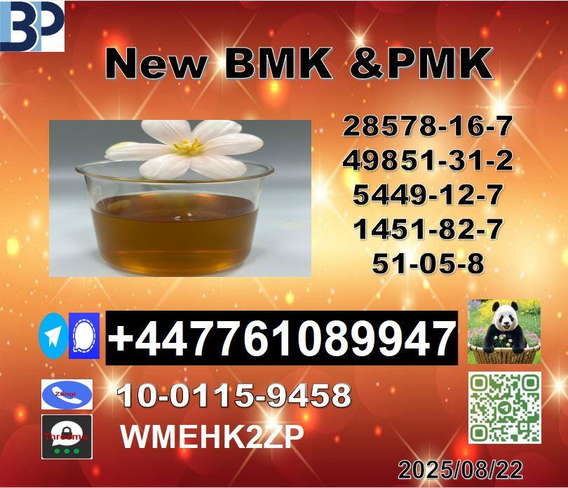 Factory Supply 49851-31-2 B.V.F and 1451-82-7 B-K4/2b4m and P.M.K 28578-16-7