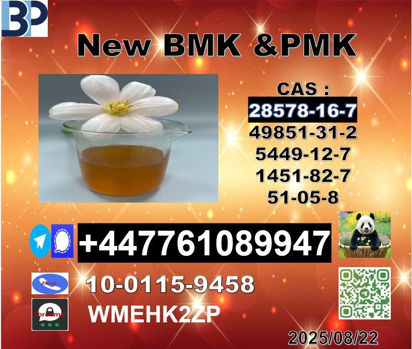 cas 28578-16-7 PMK and cas 5449-12-7 BMK Powder Factory Supply cas 28578-16-7 PMK and cas 5449-12-7 BMK Powder Factory Supply
