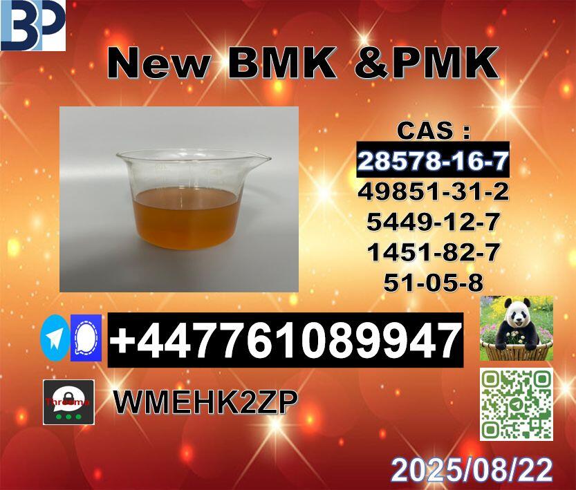 cas 28578-16-7 PMK and cas 5449-12-7 BMK leading Supplier cas 28578-16-7 PMK and cas 5449-12-7 BMK leading Supplier