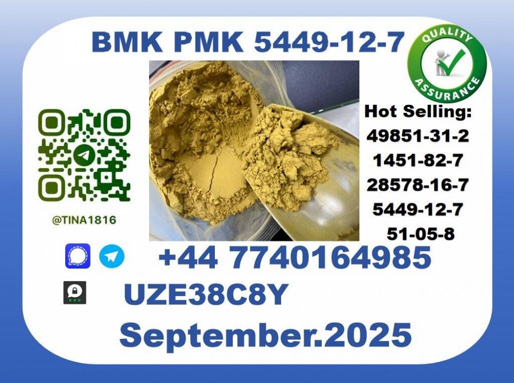 CAS 5449-12-7 BMK PMK,Certified Factory Supply CAS 5449-12-7 BMK PMK,Certified Factory Supply