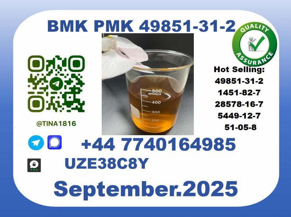 CAS 49851-31-2, BMK PMKCertified Factory Supply CAS 49851-31-2, BMK PMKCertified Factory Supply