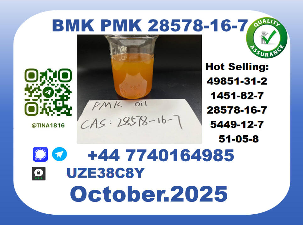CAS 28578-16-7 B.M.K P.M.K Certified Factory Supply CAS 28578-16-7 B.M.K P.M.K Certified Factory Supply