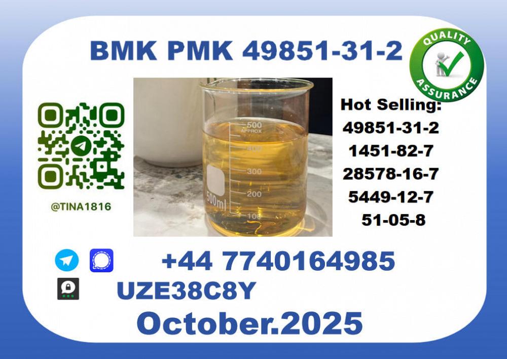 B.M.K P.M.K Oil，CAS 49851-31-2