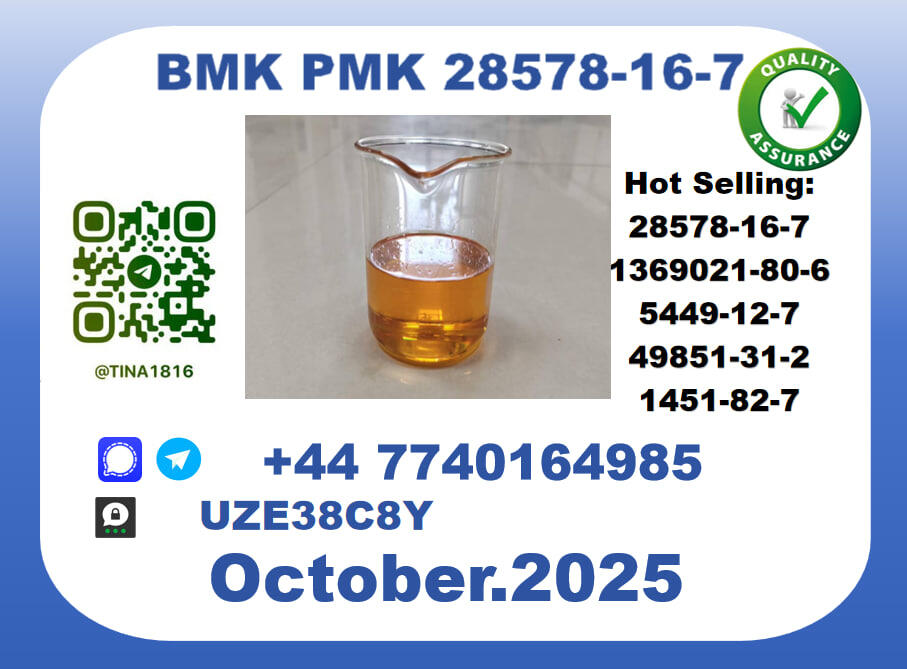 CAS 28578-16-7 PMK Certified Factory Supply CAS 28578-16-7 PMK Certified Factory Supply